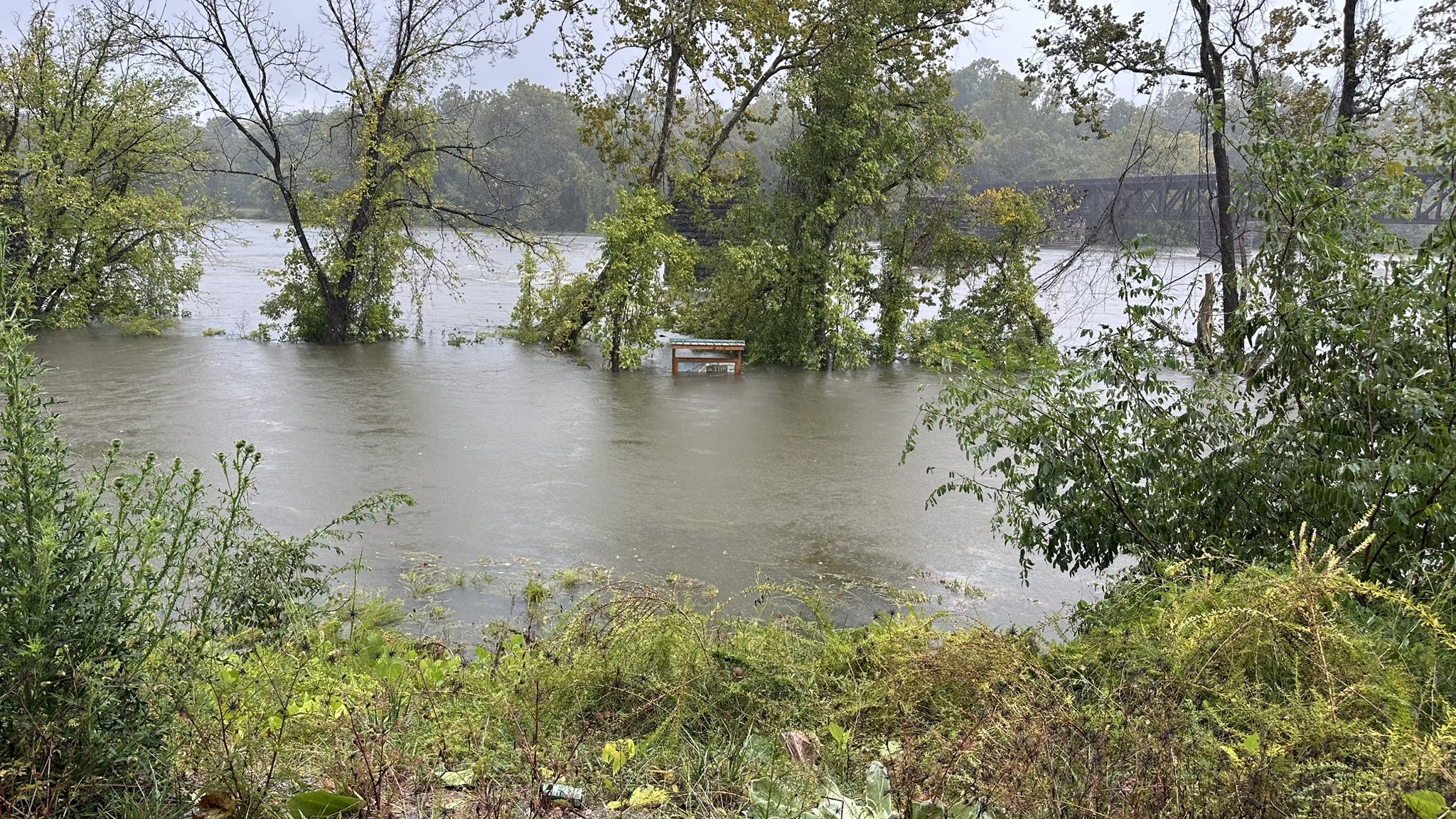 Water rises along the New River on Friday in Pulaski County. Courtesy of John Holst.