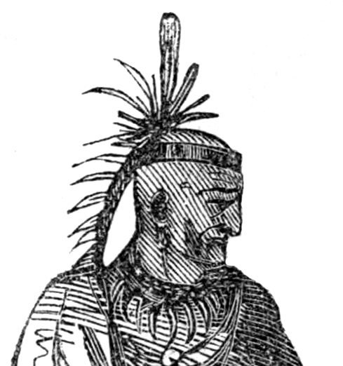 A depiction of Chief Cornstalk by the 19th century artist John Frost.