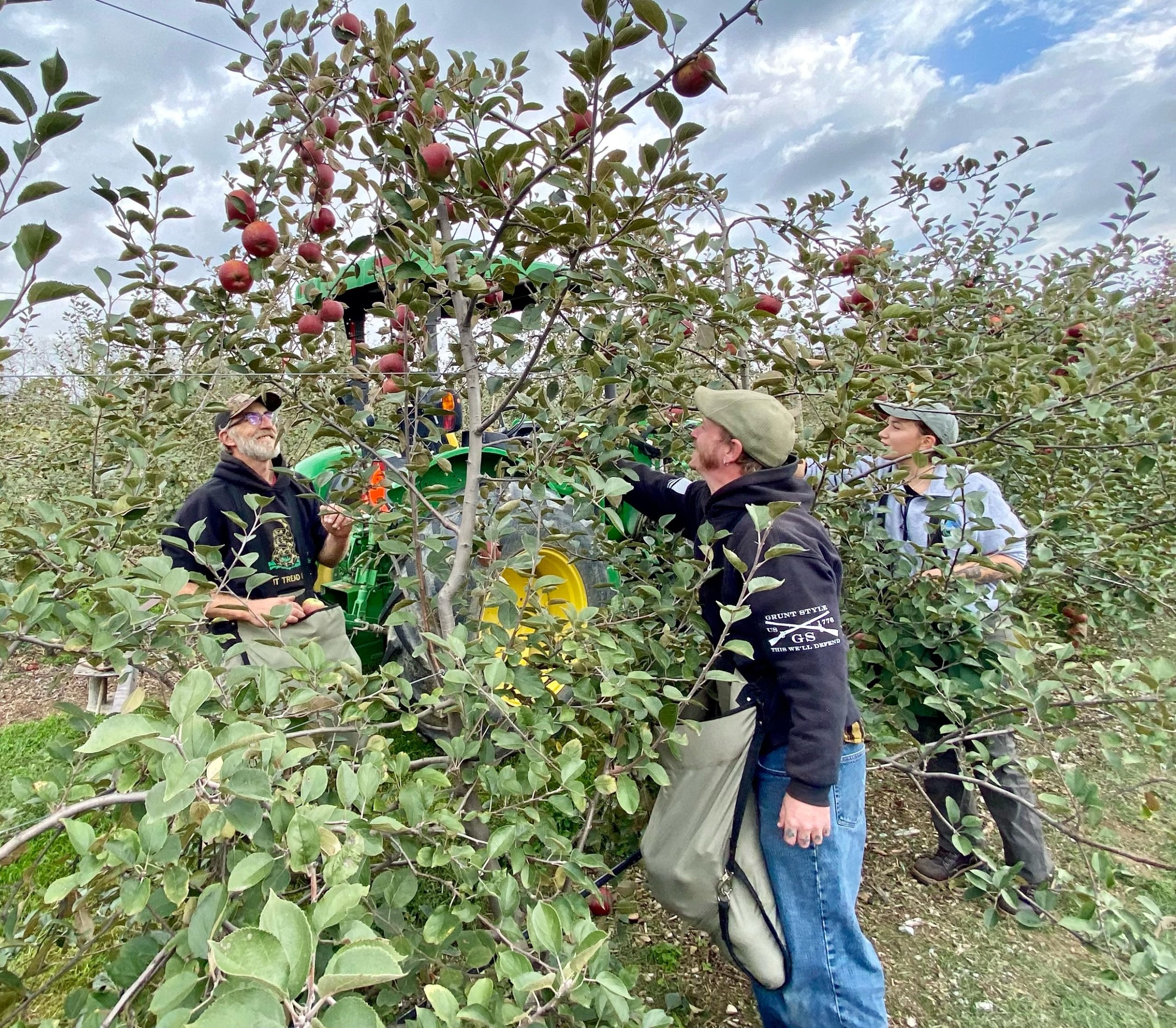 three people examining the fruit on a small apple tree.
