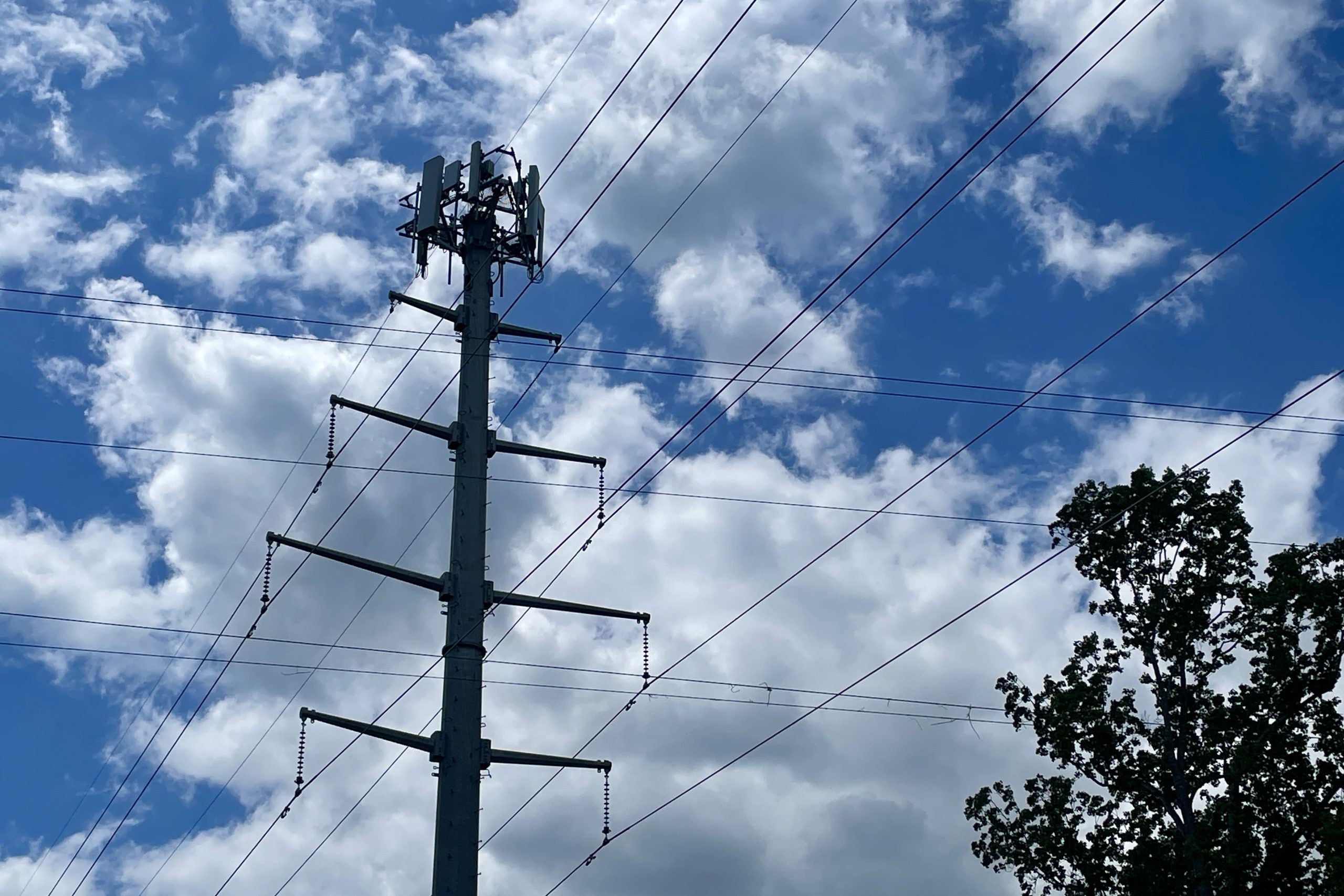 Appalachian Power transmission lines. Photo by Matt Busse.