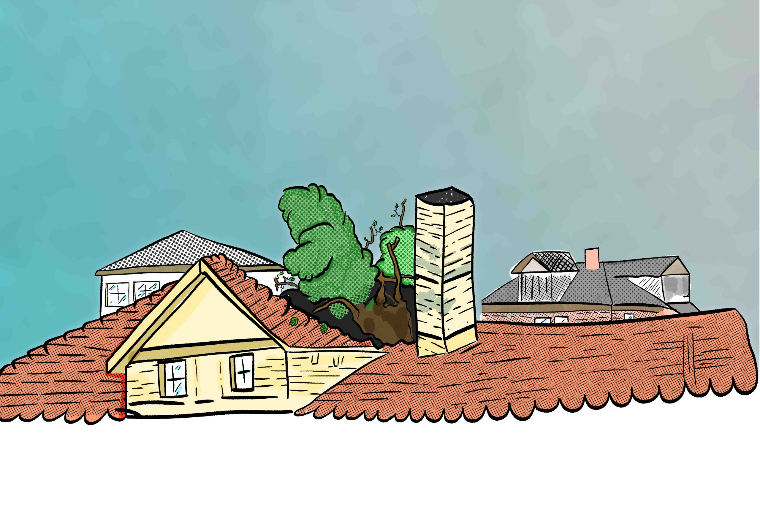 A tree grows through a hole in the roof of the old railroad station in Roanoke in the late 1990s.