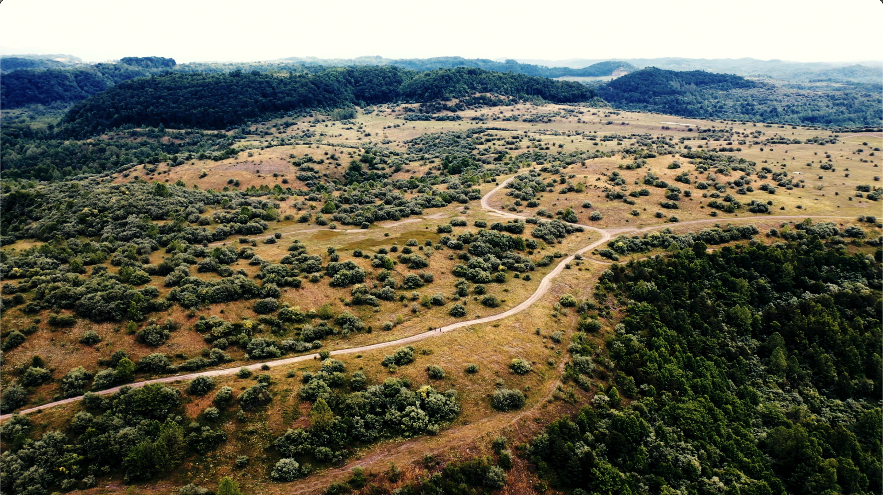 The Wildcats Solar project, located on former mine lands in Wise County, VA, will generate affordable, domestic, clean power while bringing a mix of economic and community benefits to Southwest Virginia. / Credit: Photo credit: The Nature Conservancy, Link Elmore