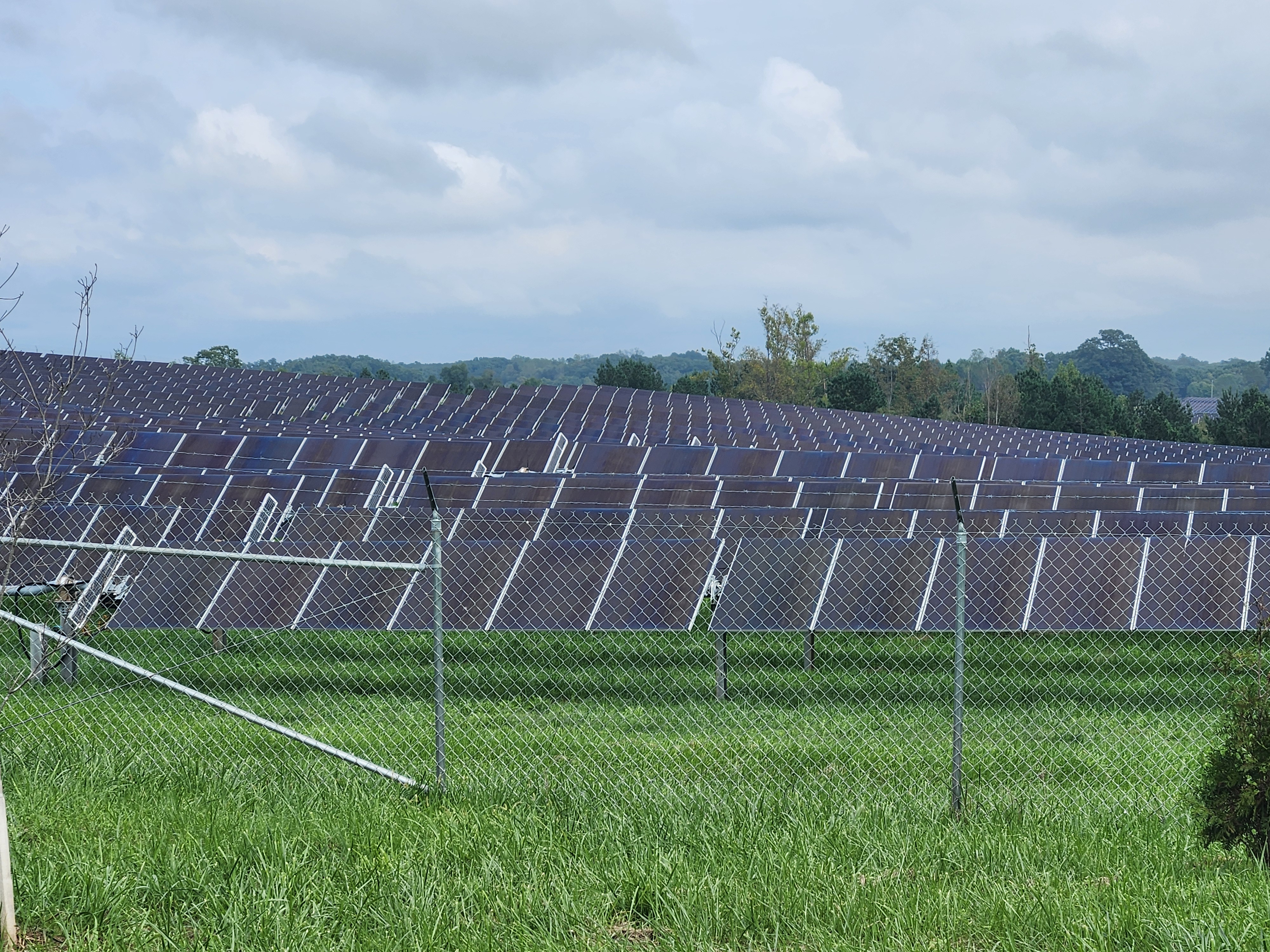 A solar installation near Climax in Pittsylvania County. Photo by Dwayne Yancey.