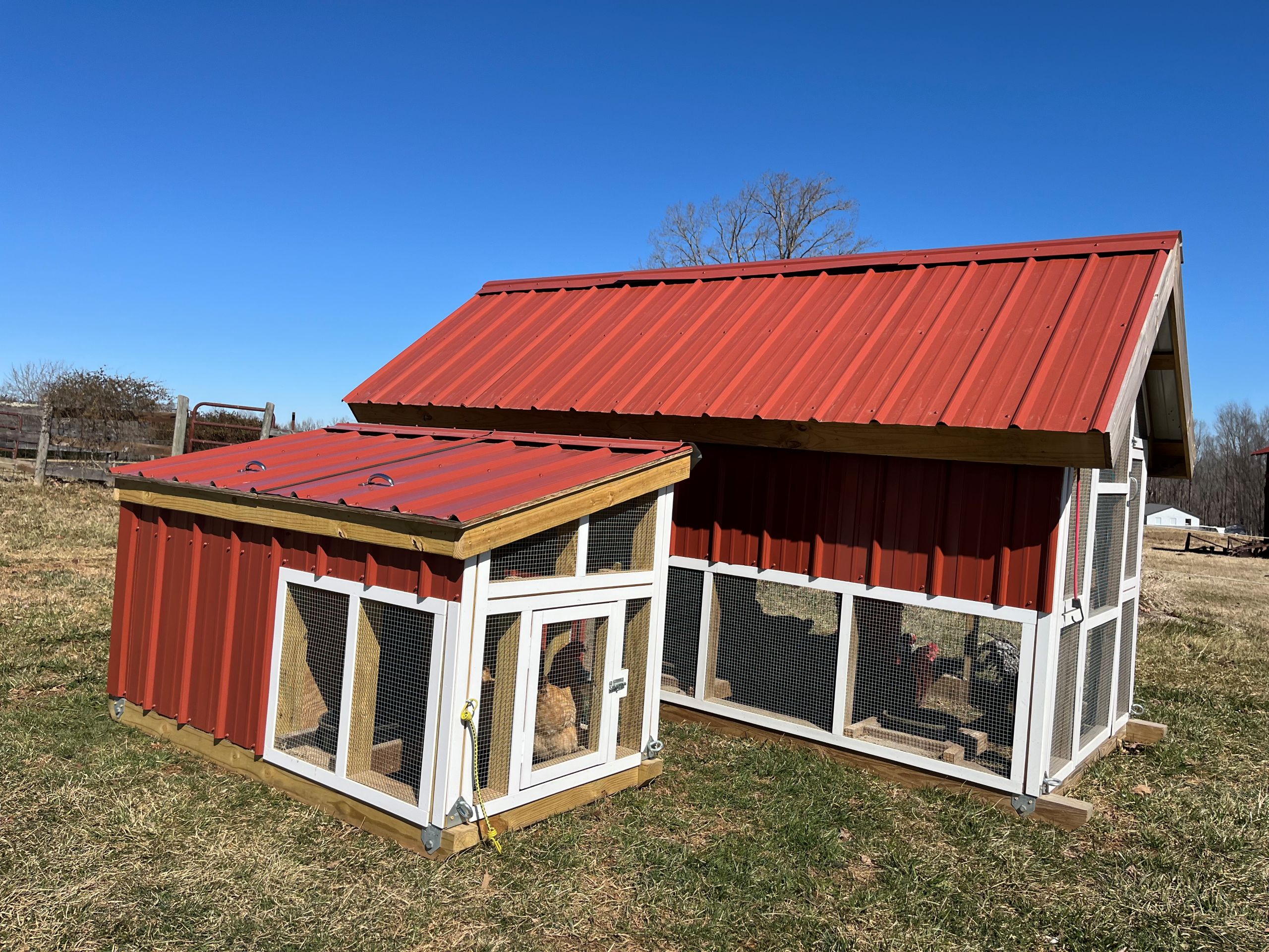 two red chicken coops sit on farmland in Pittsylvania County. Chickens peek out from the mesh wiring