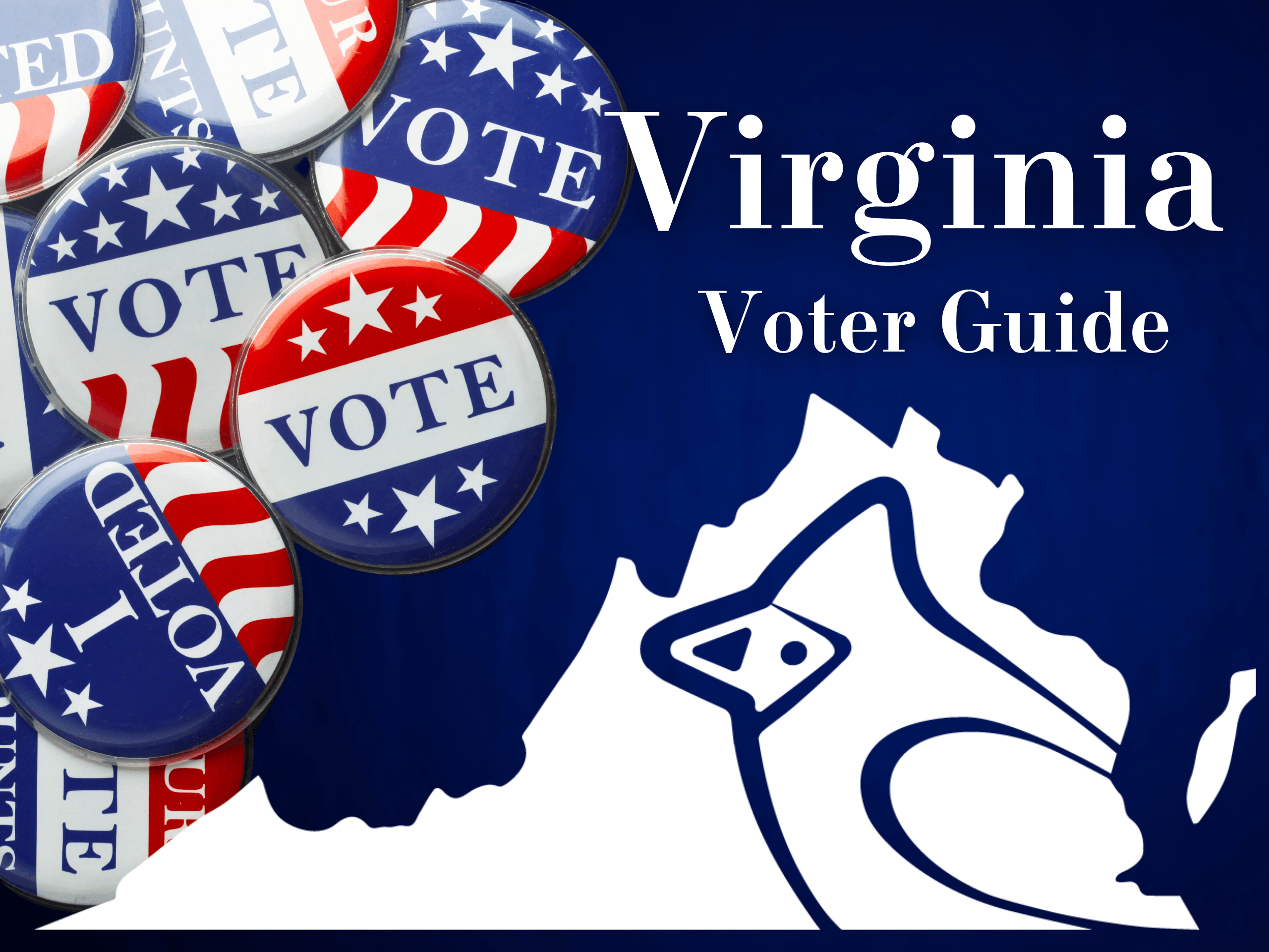 Voter Guide