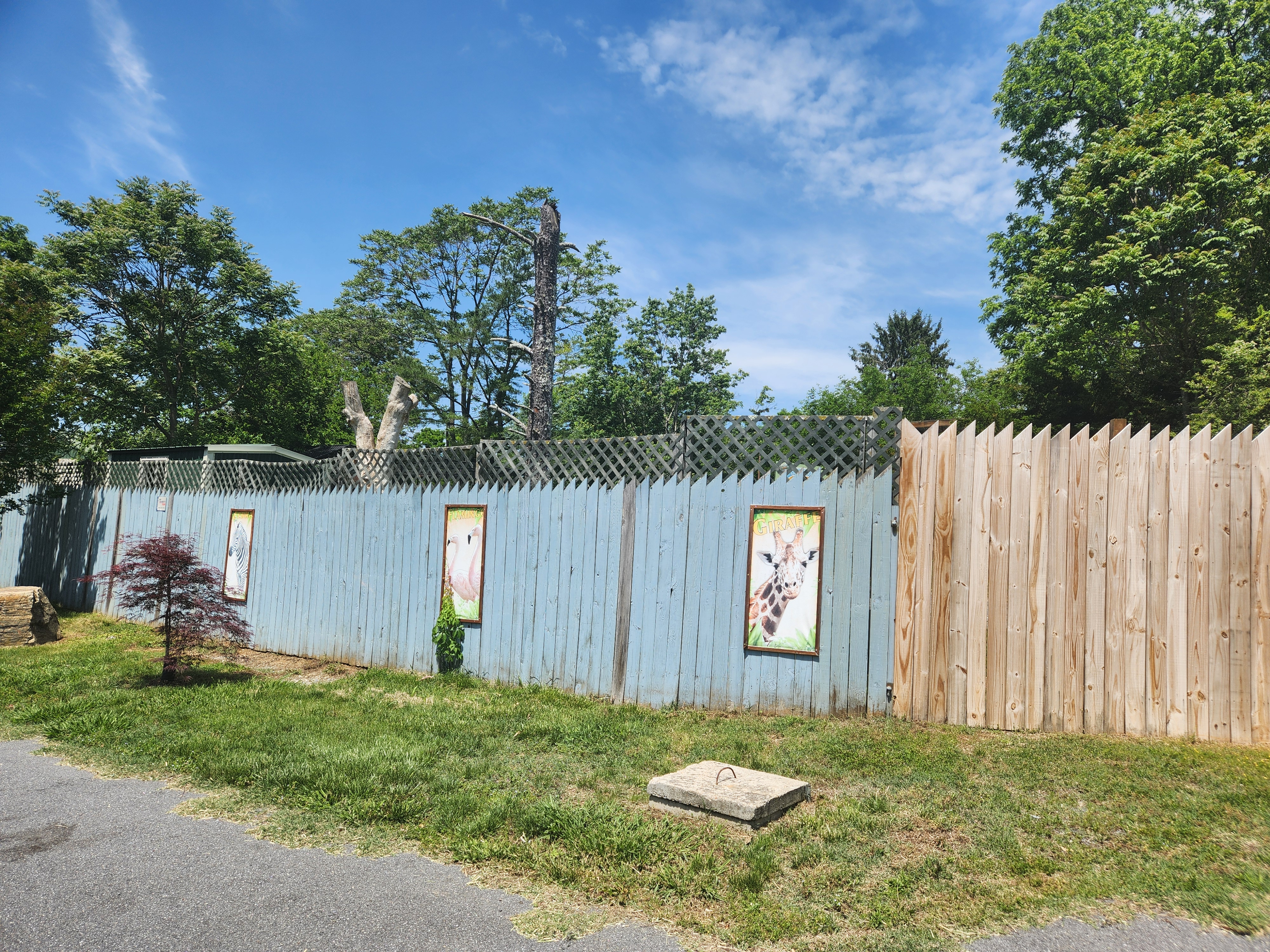 The fence outside the zoo includes a picture of a giraffe. Photo by Dwayne Yancey
