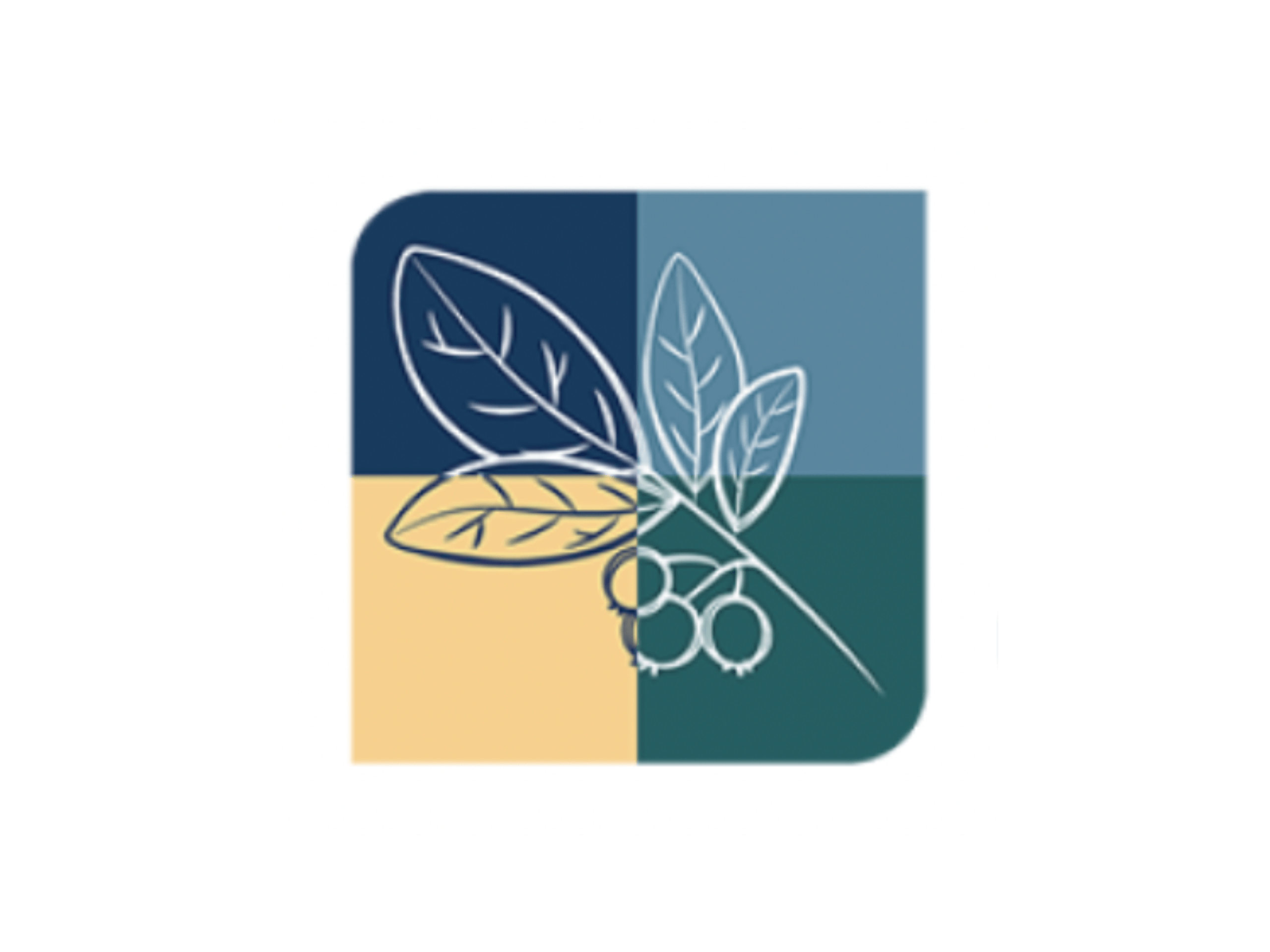 Montgomery County Logo