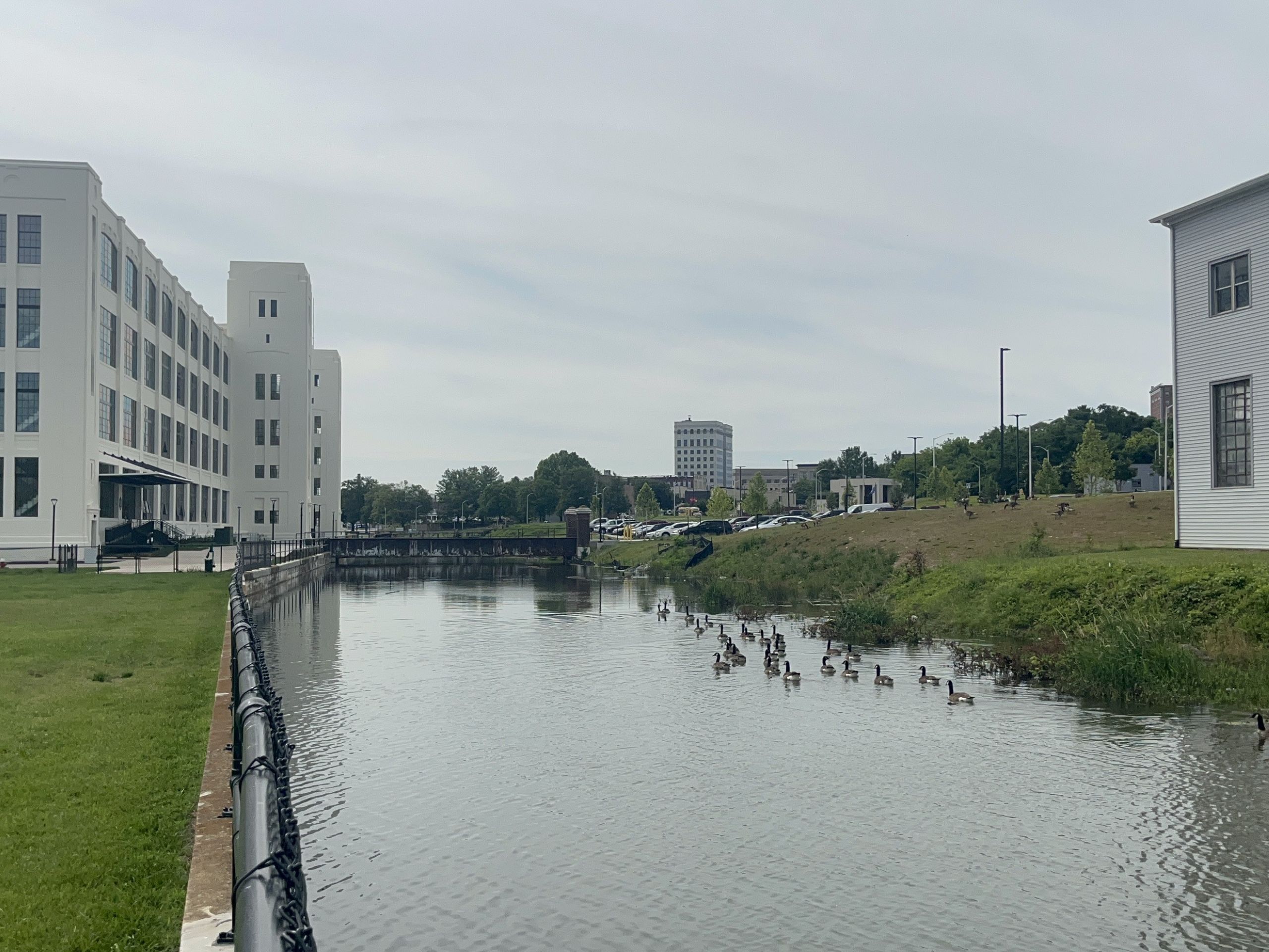 A large white building in the left of the frame, Dan River Falls, stand adjacent to a canal with two geese swimming in its waters.