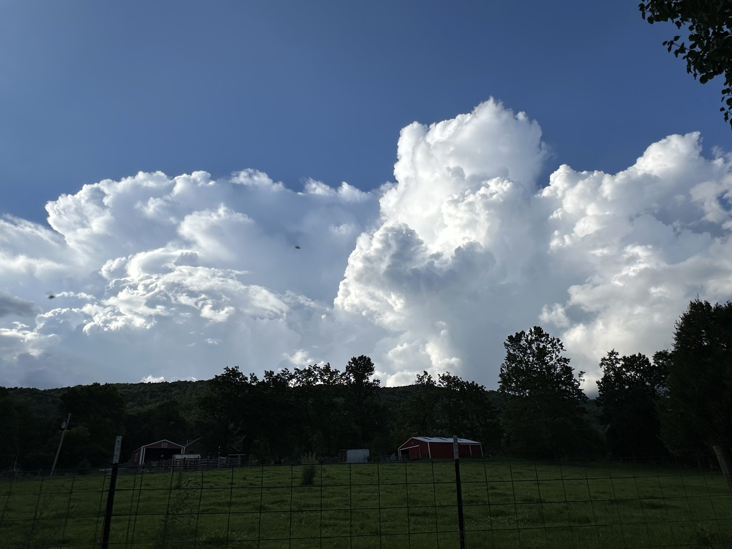 Hot, sticky days commonly lead to towering cumulus clouds, which can mature into thunderstorms, like these seen Sunday, July 27, looking west over Brush Mountain in western Roanoke County. But the combination of high temperatures and elevated dew points also leads to heat stress for humans. Courtesy of Liz Belcher.