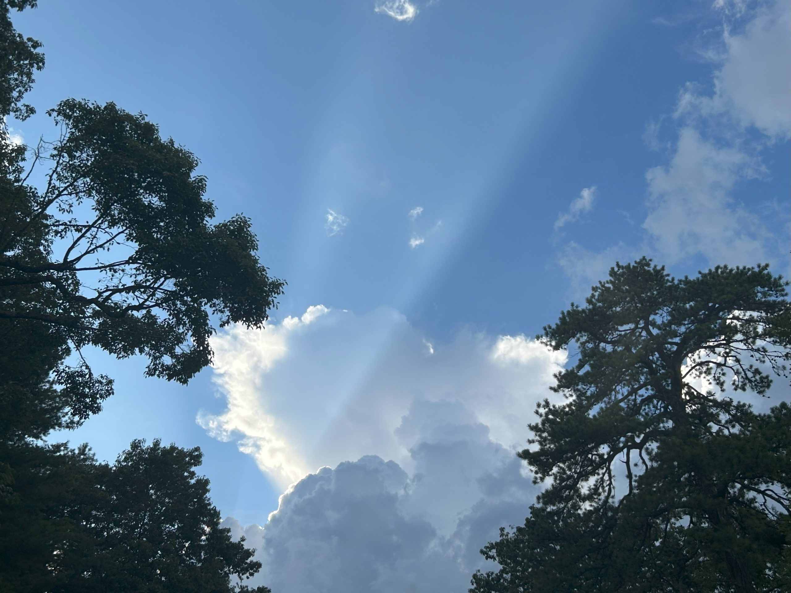 A crepuscular ray from late-day sunlight slices between a cumulonimbus cloud and its developing cirrus anvil over the Roanoke Valley on Monday, July 14. Photo by Kevin Myatt.