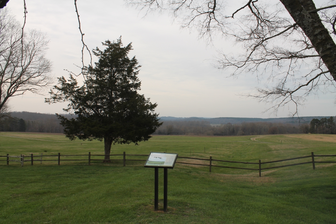View from Red Hill's yard toward the Staunton River, beyond the treeline. In Henry's day, the fields were planted with tobacco and wheat. Photo by Randy Walker.