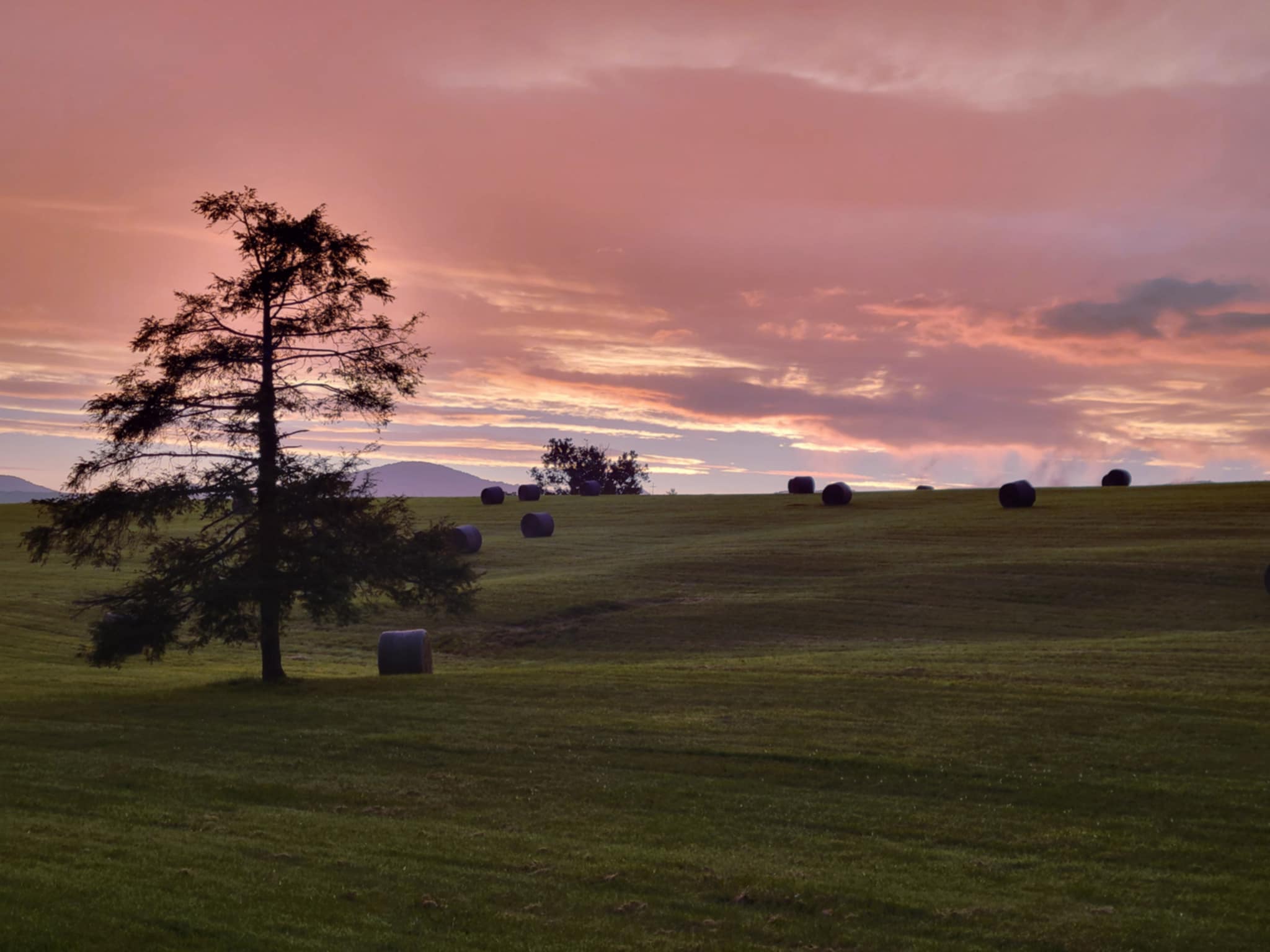 The aftermath of evening thunderstorms made for a painted sunset on July 6 in the Hollins community of northern Roanoke County. Courtesy of Christine Saunders.