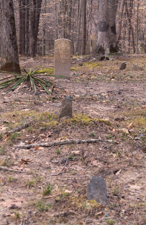 Quarter Place Cemetery at Red Hill is the final resting place of people enslaved by Henry and their descendants into the 20th century. Photo by Randy Walker.