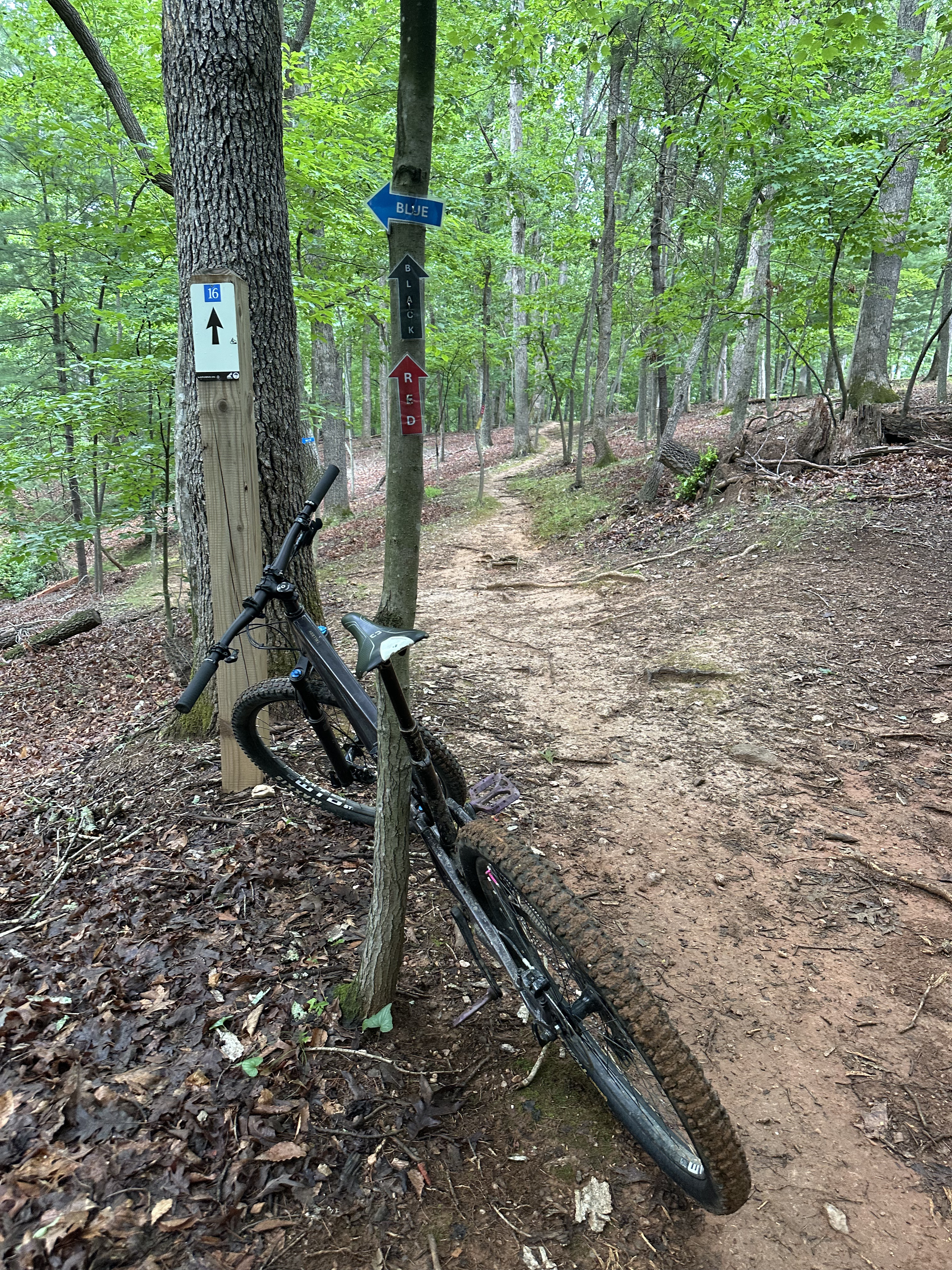 A dirt bike trail in the middle of the woods