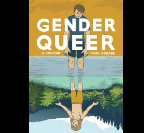 "Gender Queer: A Memoir" was the book most frequently removed from school library shelves in Virginia.