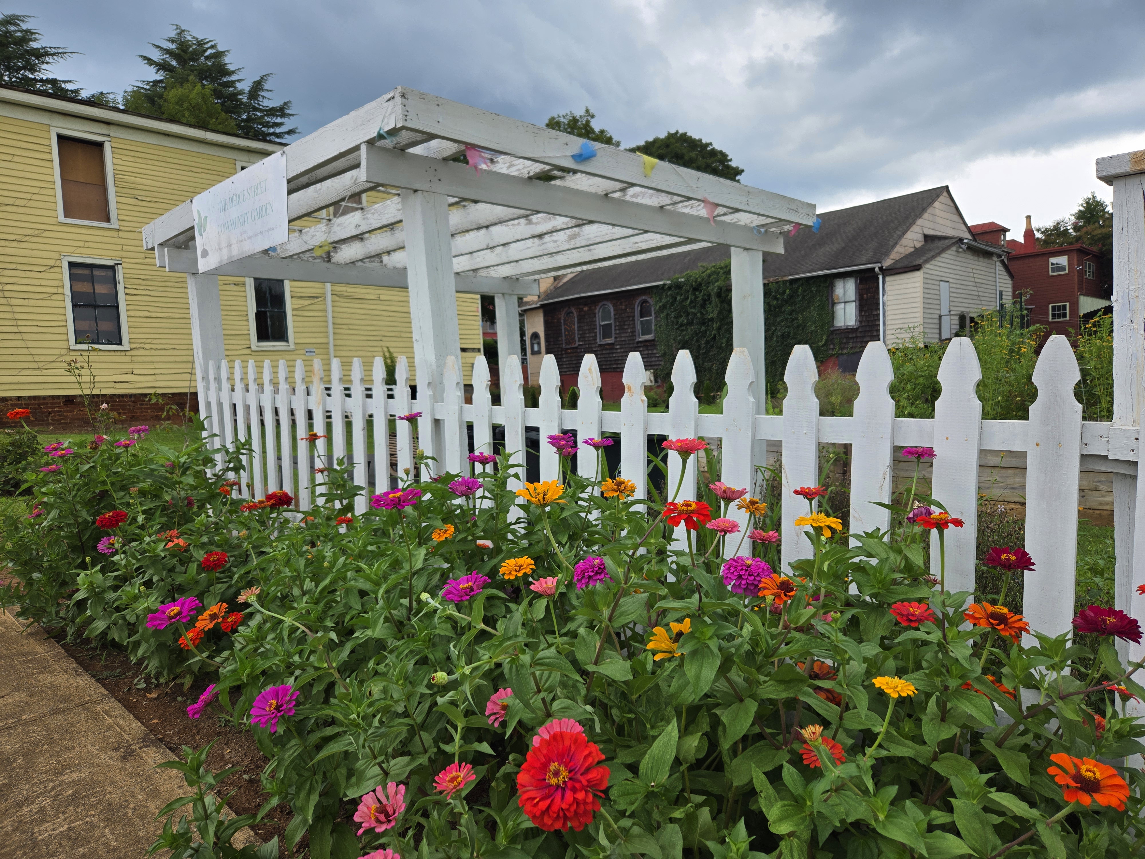 Yellow, orange, pink, and purple flowers bloom outside the Calloway Store.