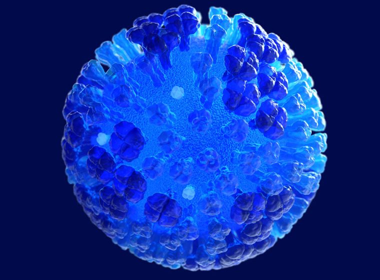 Flu Brings Fear Of Twindemic In Nc Carolina Public Press