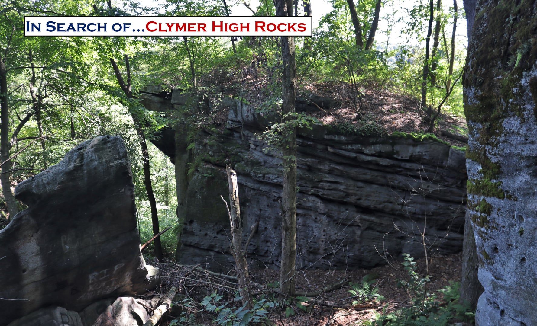 In Search Of The High Rocks Of Clymer Pa Catbird Life