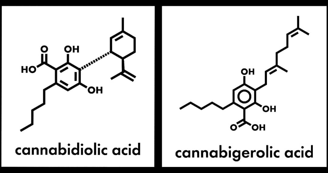 Hash Rosin Oil Tincture