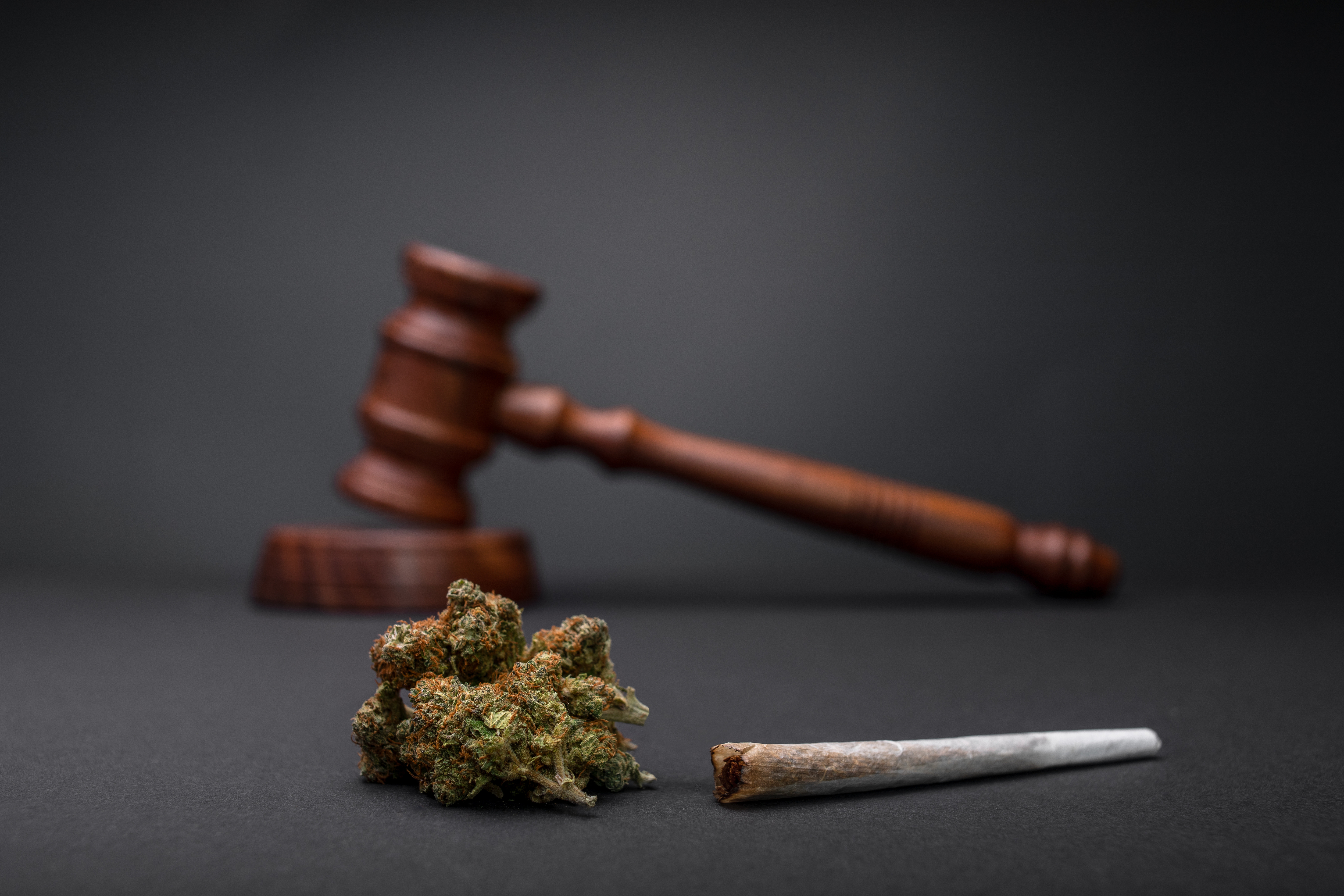 cannabis law