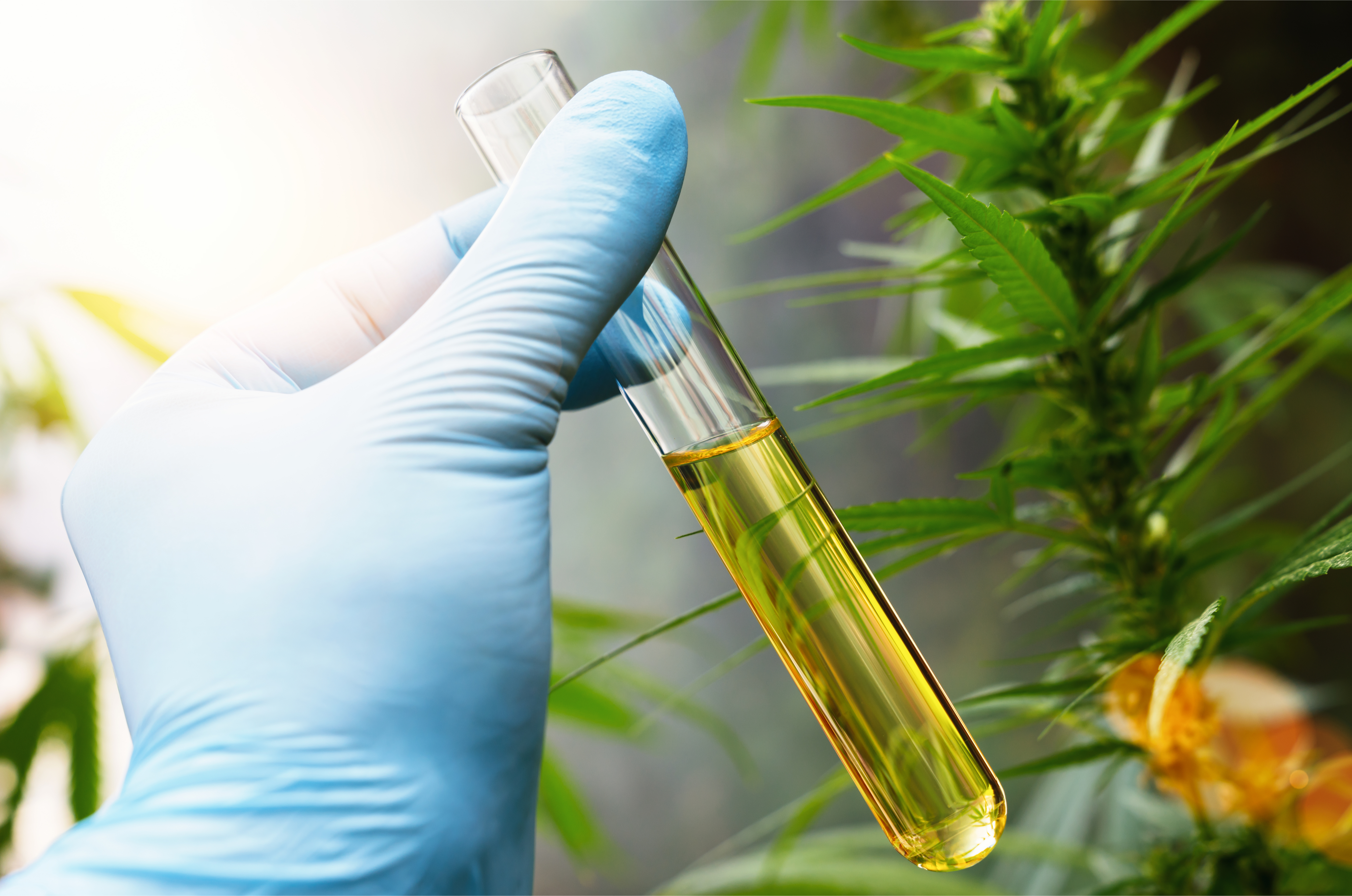 cannabinoid