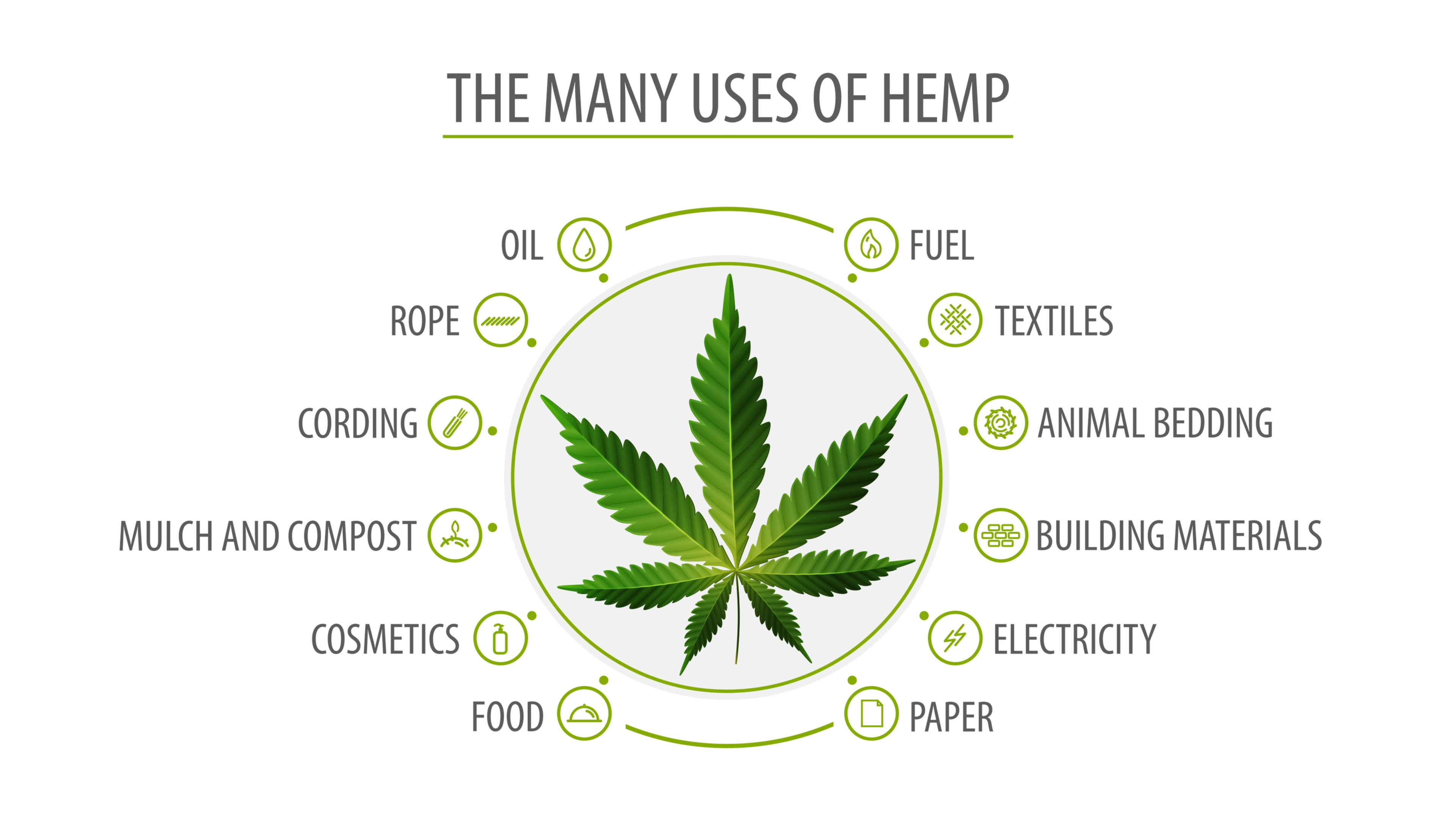 hemp uses