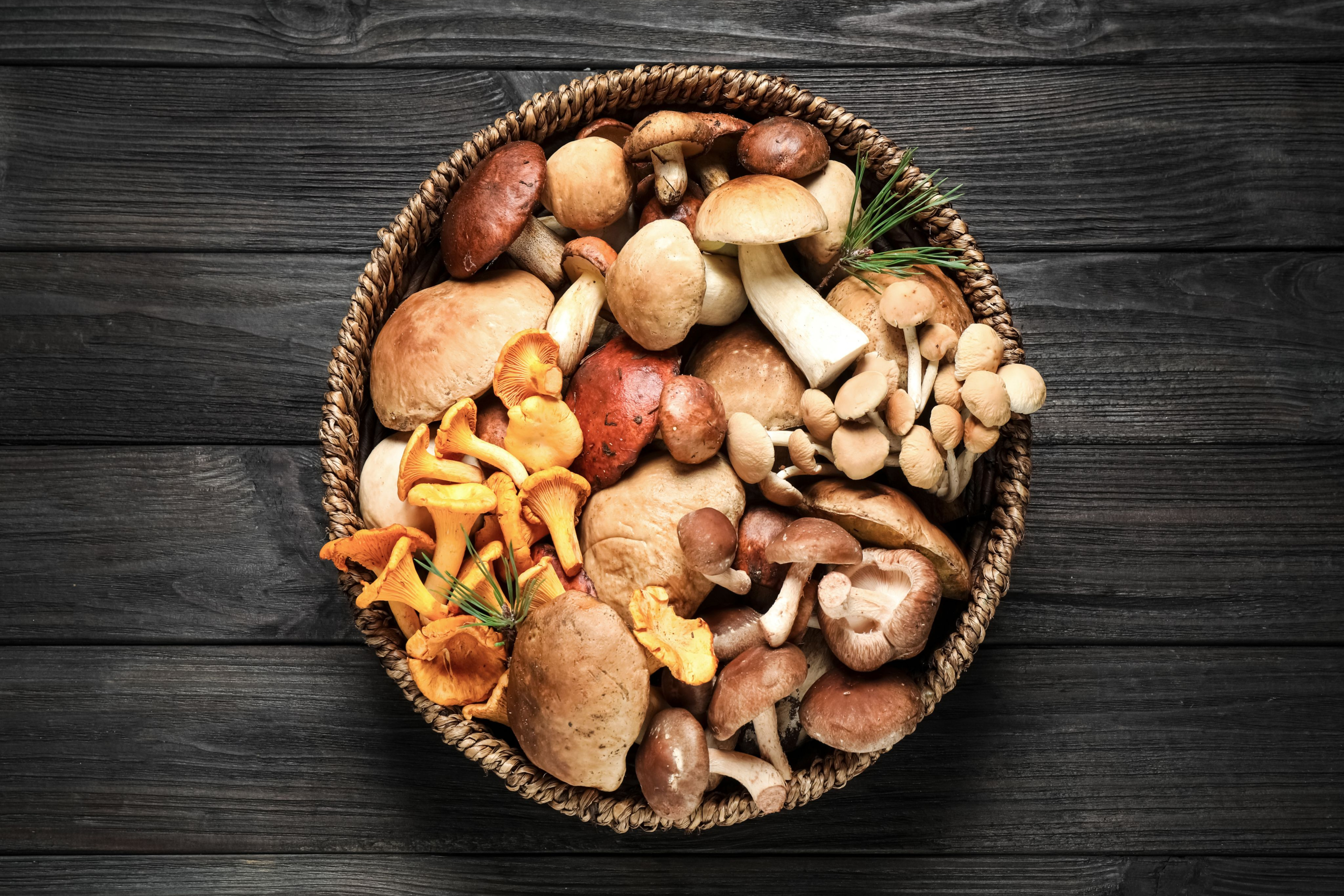 mushrooms