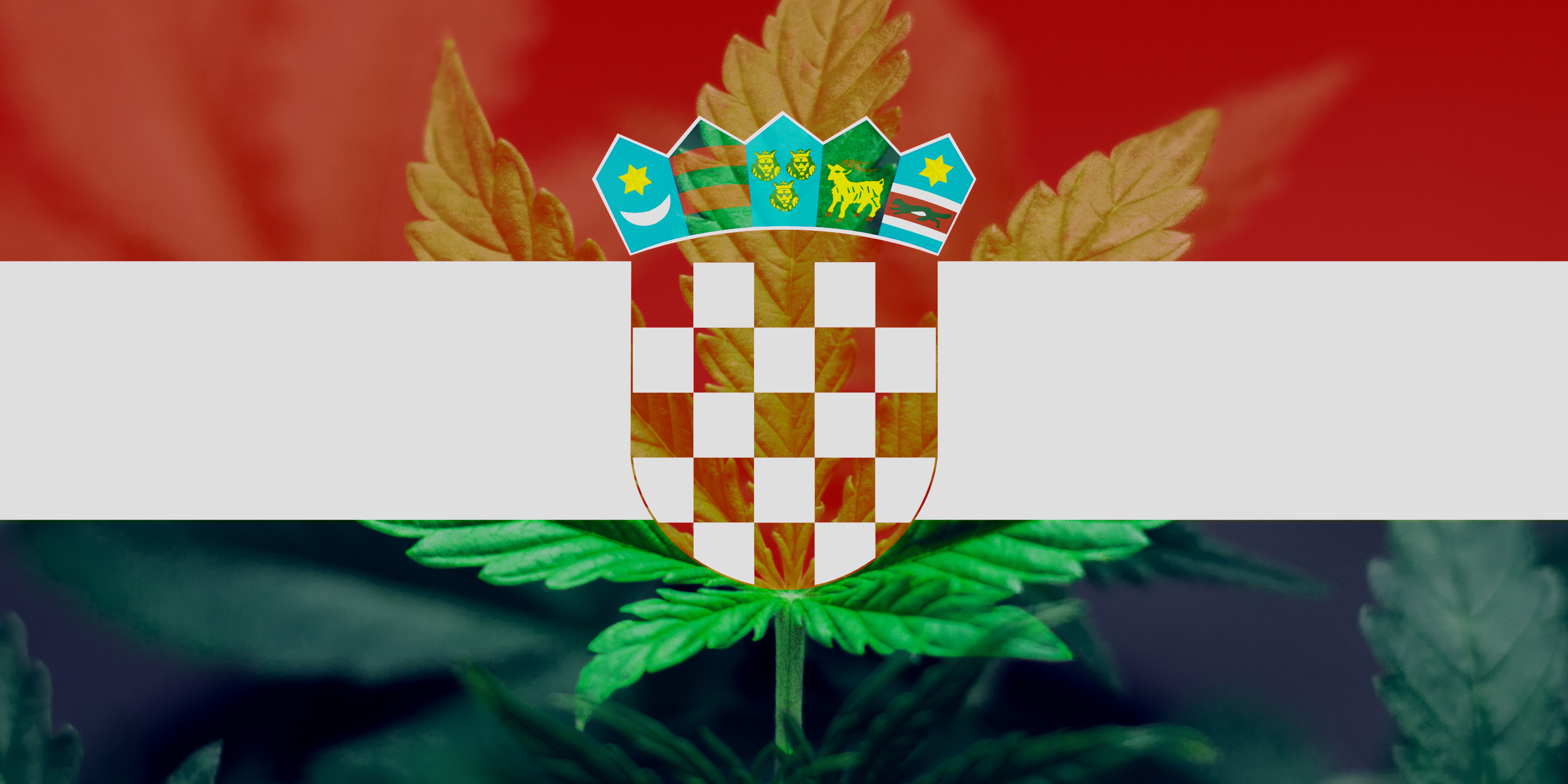 weed Croatia