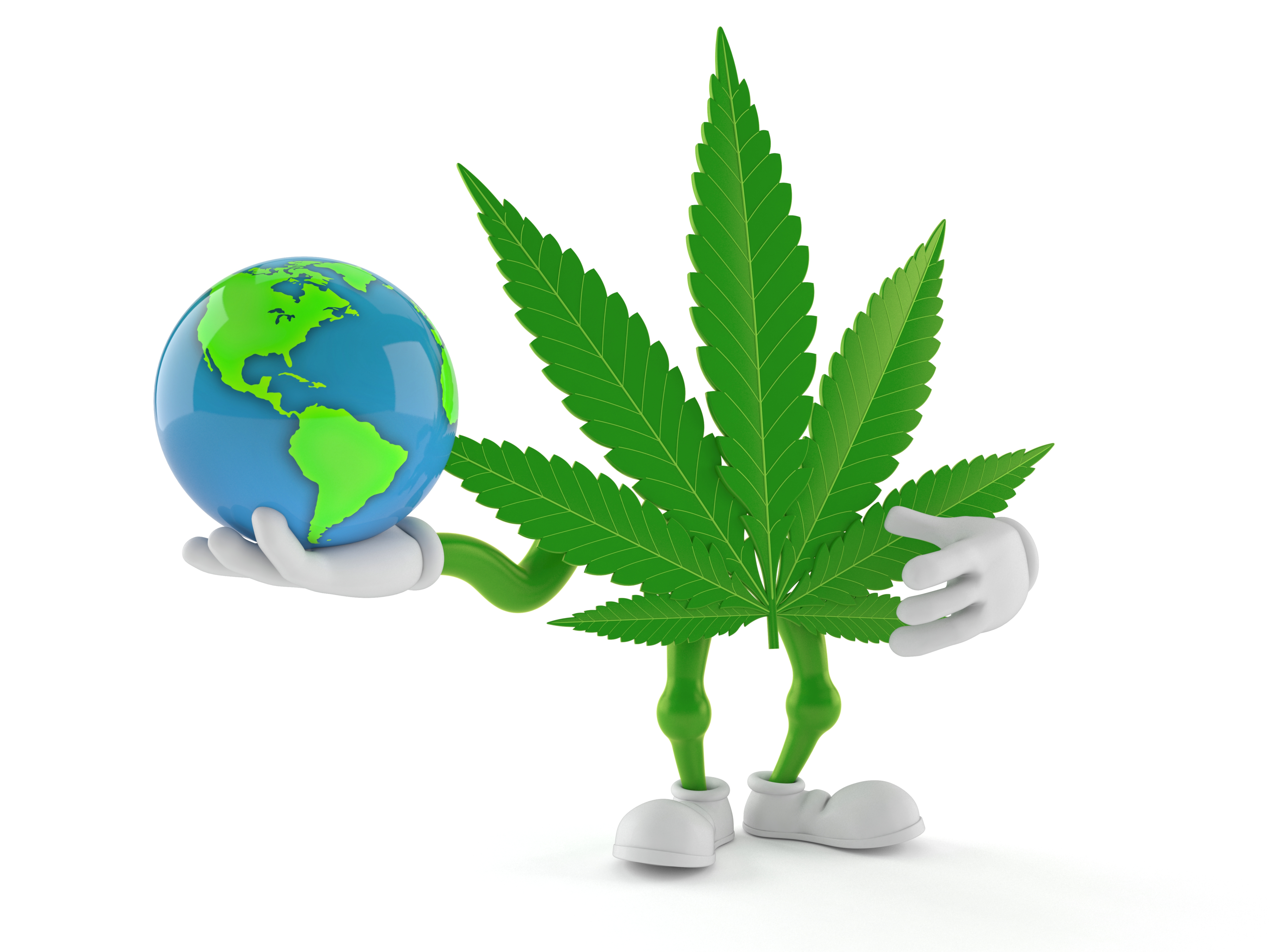 weed vacation packages