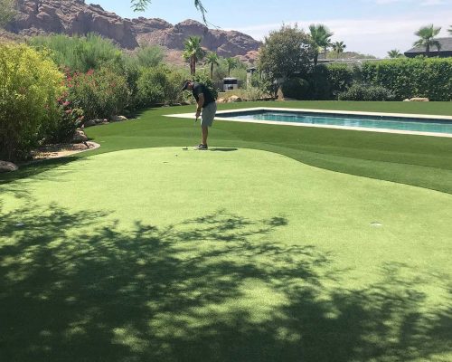 phoenix custom backyard putting greens