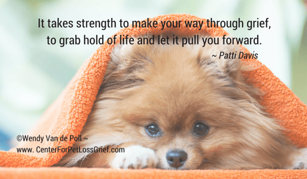Pet Loss Quotes Center For Pet Loss Grief