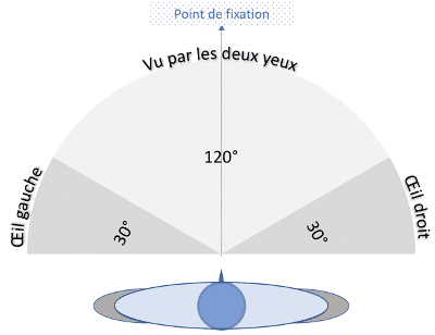 Champ Visuel Humphrey Et Goldmann Examen Ophtalmologique Rdv