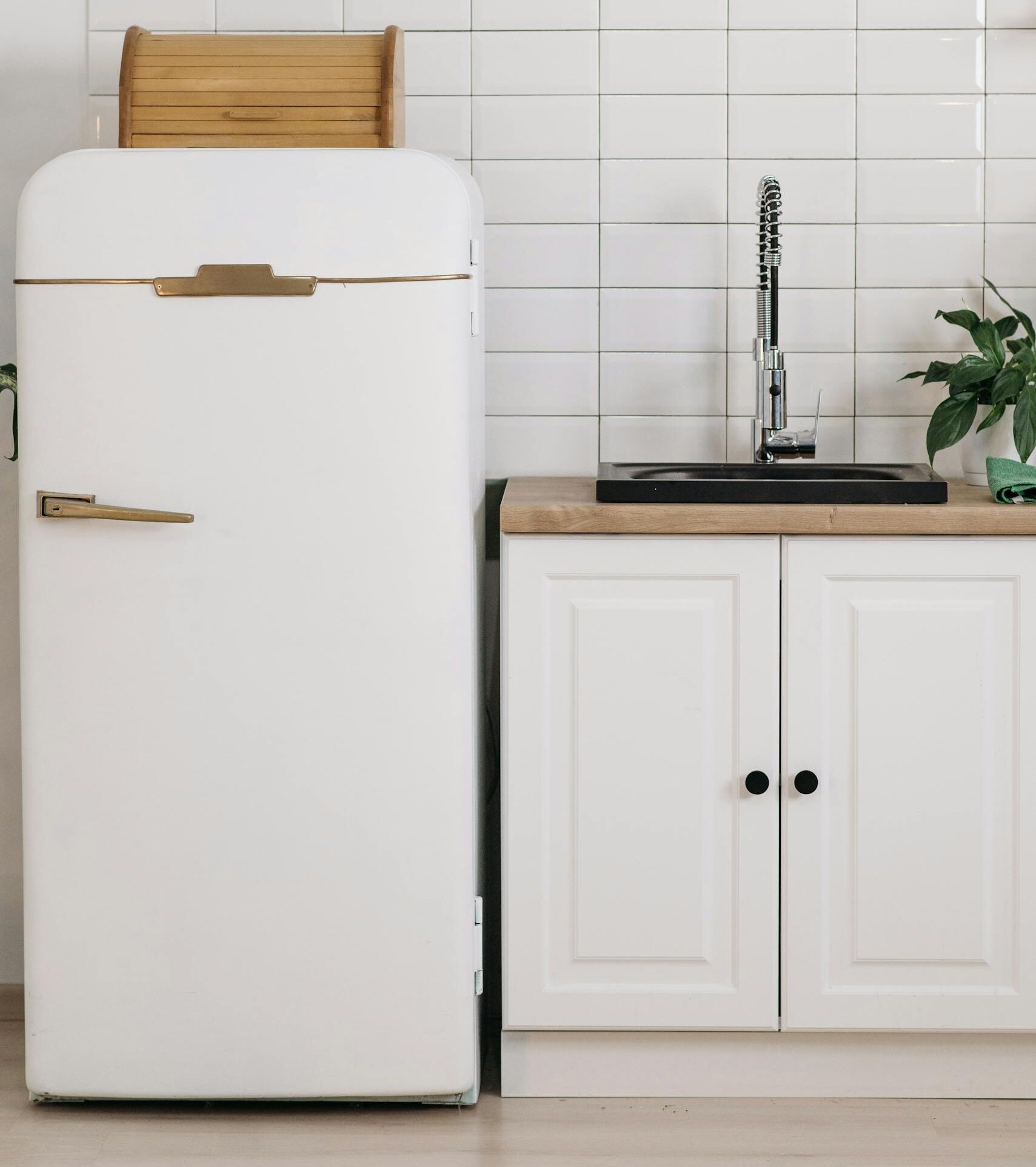 A modern minimalist kitchen featuring a vintage white fridge, sink, and greenery.