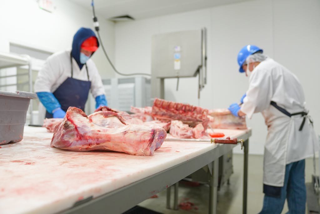Two butchers process raw meat in an indoor industrial facility, highlighting freshness and safety.