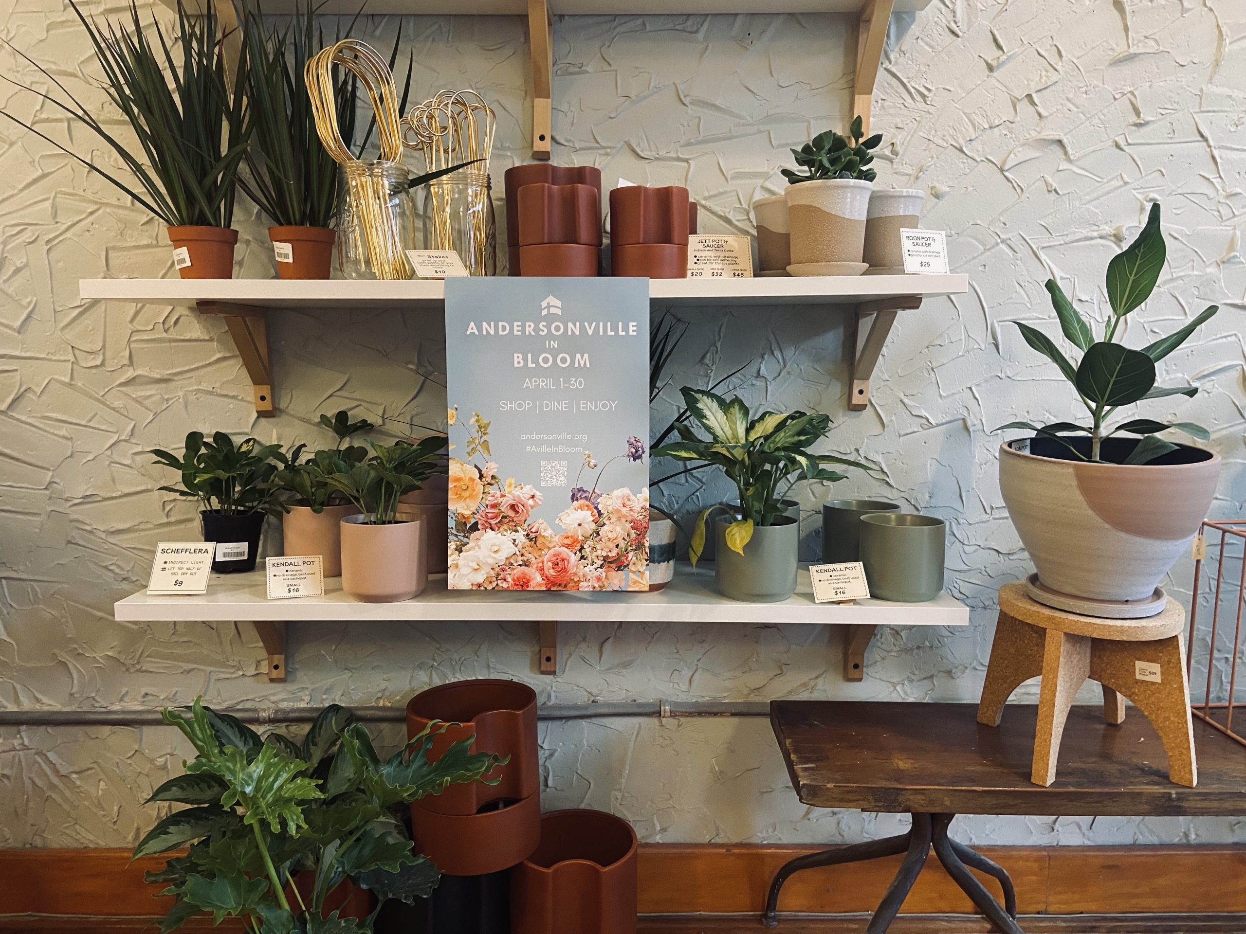 All Bloomed Out In Andersonville Chicago Reader