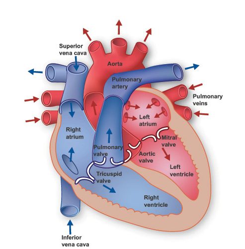Small Signal Sampling Circuit Cellar