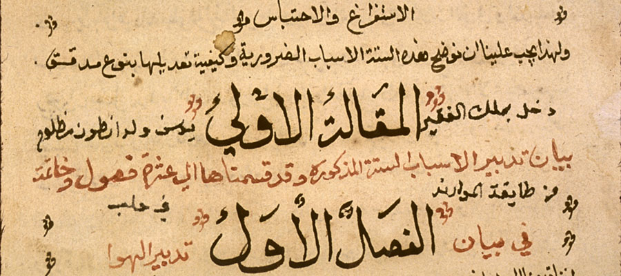 A page of manuscript in Arabic with words emphasized with size and color.