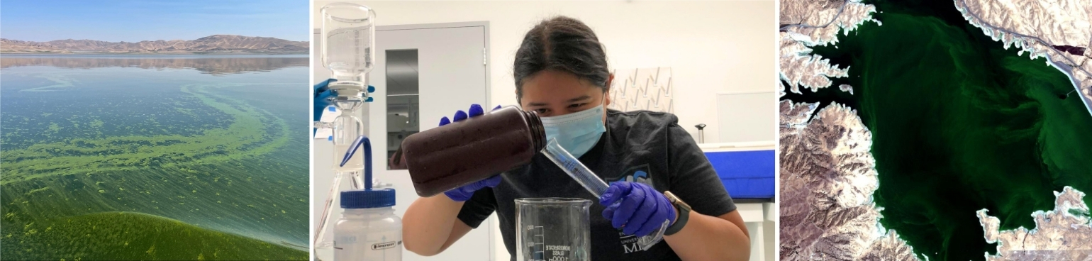 UC Merced breakthrough could transform how California monitors toxic algal blooms