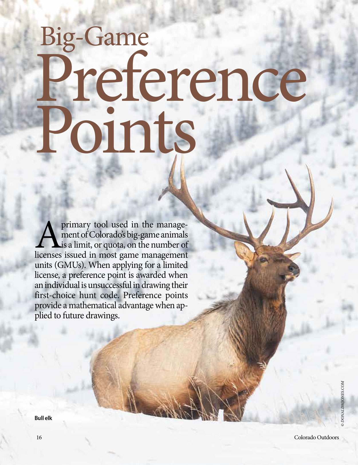 2022 Colorado Outdoors Preference Point Issue Online Edition Colorado Outdoors Online