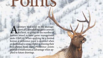 2020 Colorado Outdoors Preference Point Issue Online Edition Colorado Outdoors Online