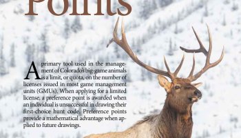 2020 Colorado Outdoors Preference Point Issue Online Edition Colorado Outdoors Online