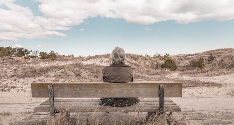 Artin Around With Author Donna Litt The Community Edition