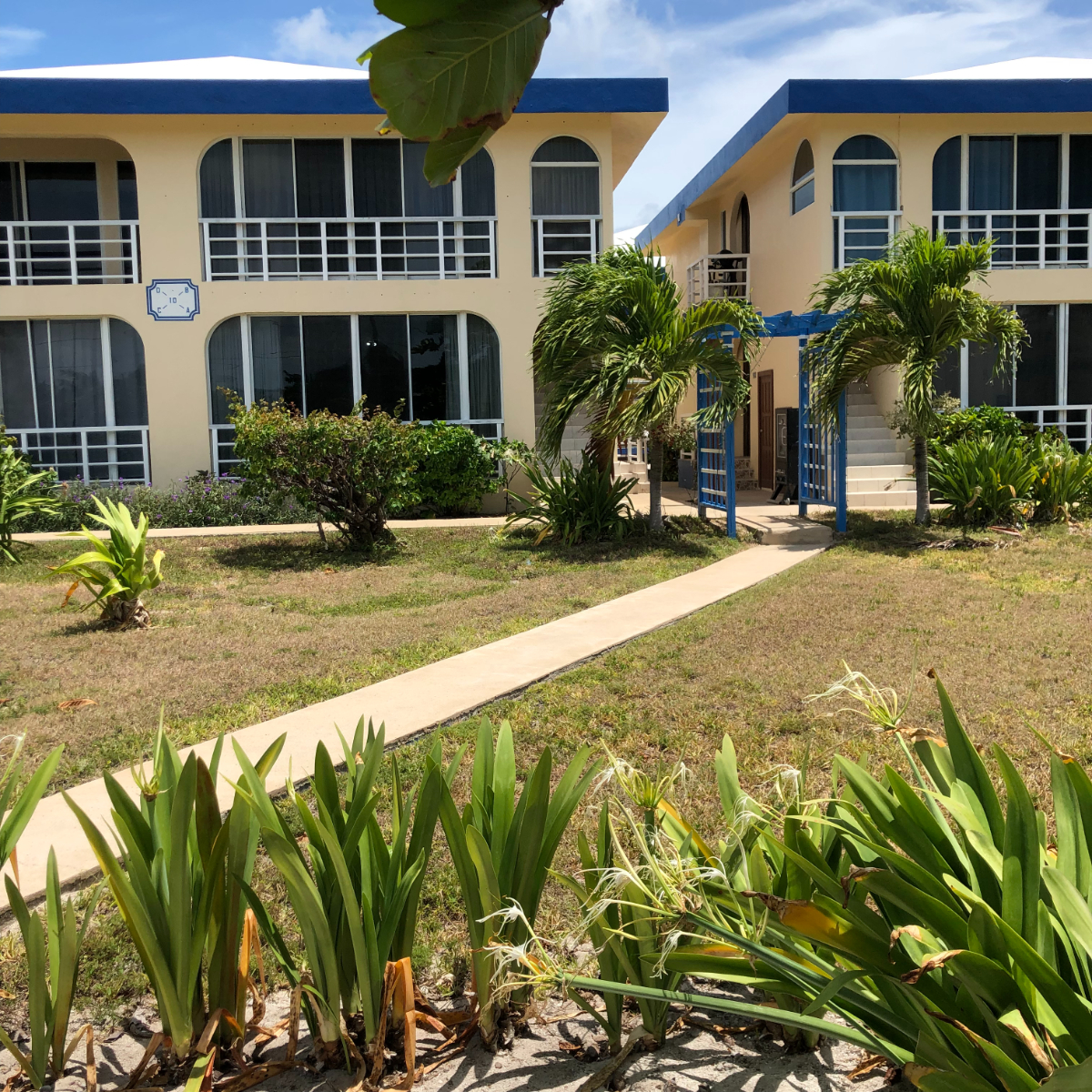 Crown Property Management