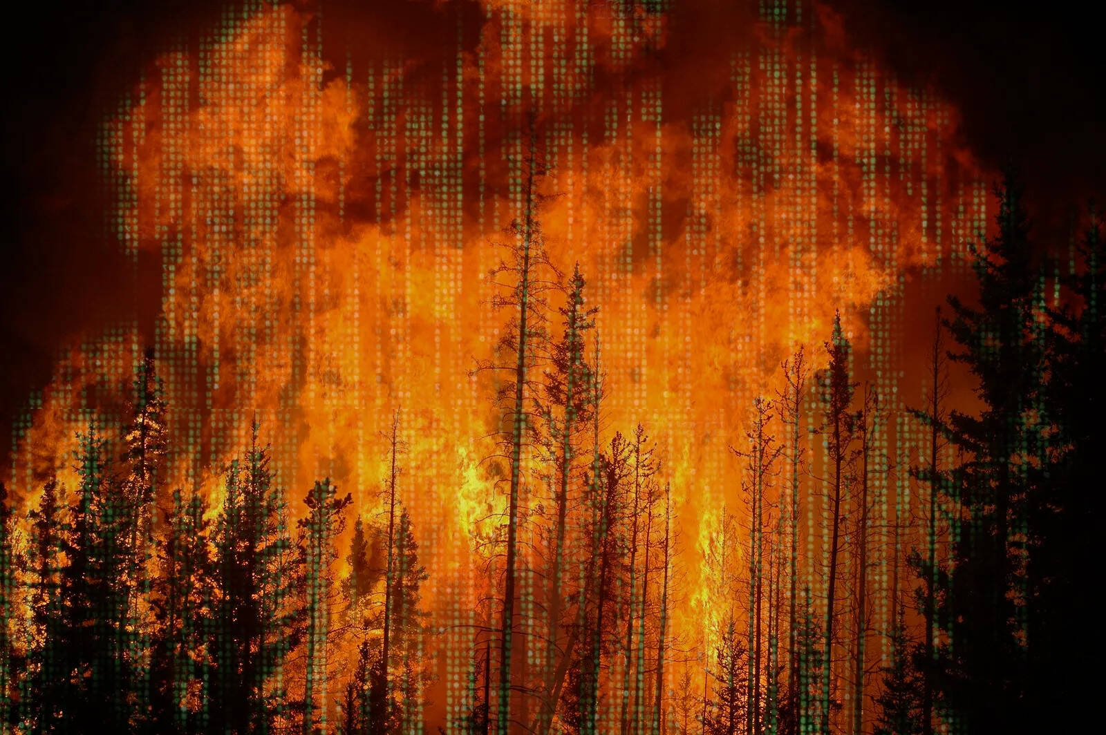 A forest wildfire. Peeking through the darks in the stark image are hints of the green Matrix 'waterfall' effect.