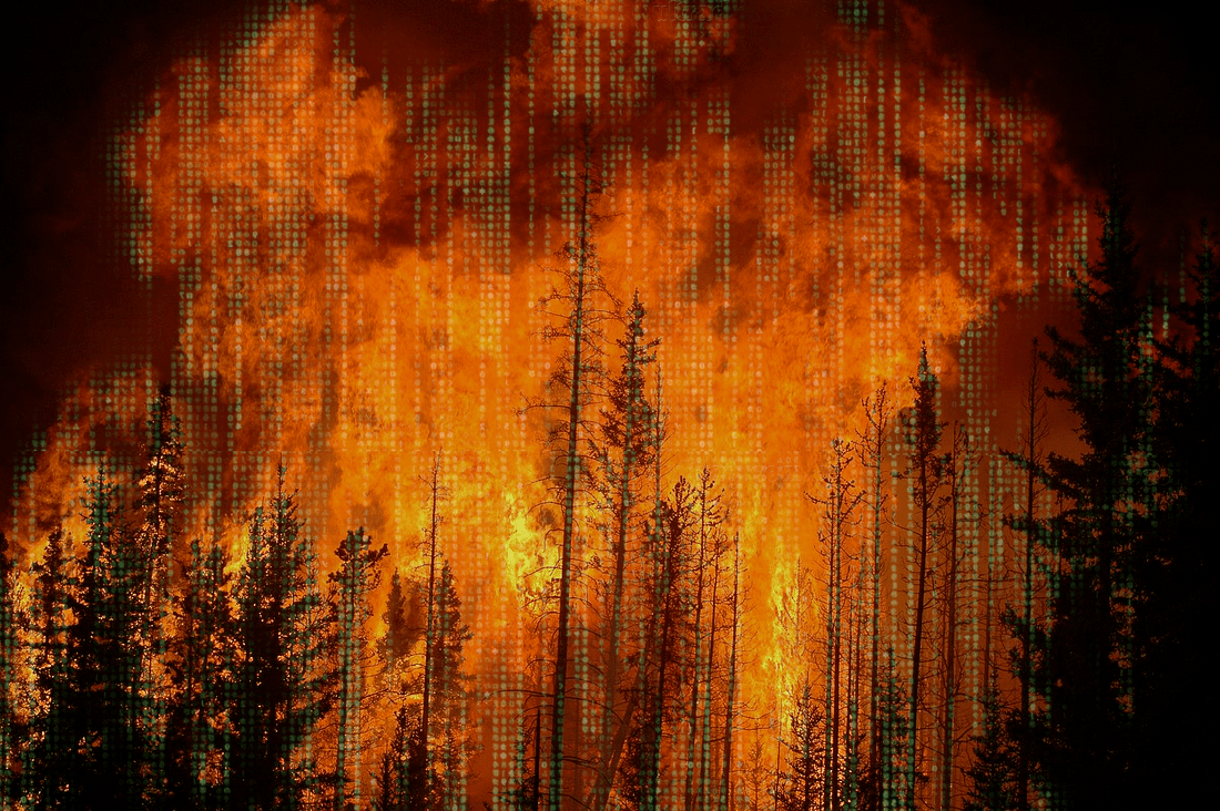 A forest wildfire. Peeking through the darks in the stark image are hints of the green Matrix 