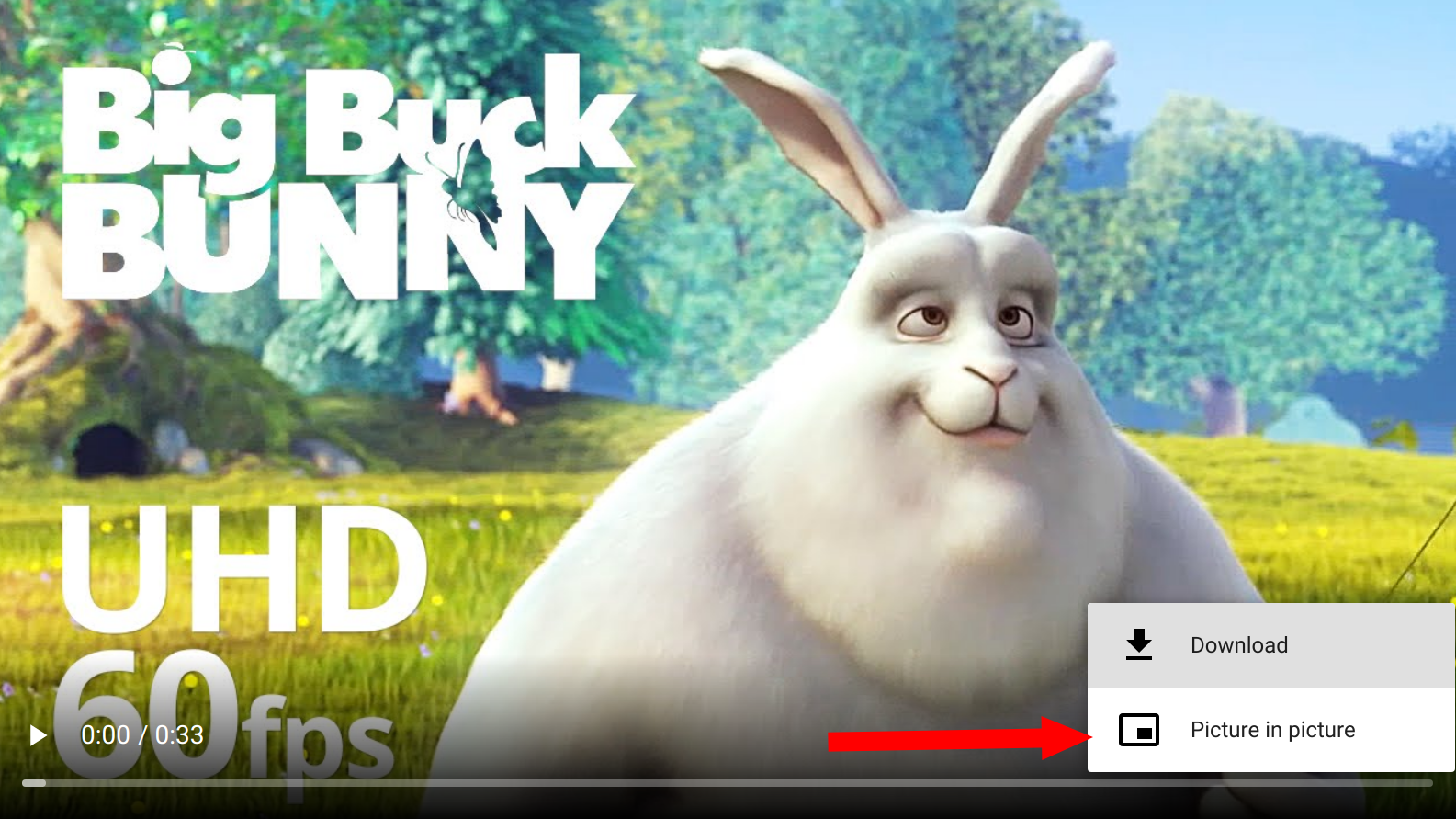 Showing a video with the picture-in-picture option in the bottom right of the screen.