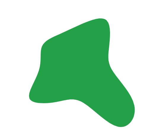 A green blob with four edges that vary in size and shape.