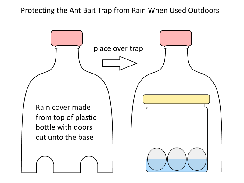 how to make a DIY borax ant bait trap