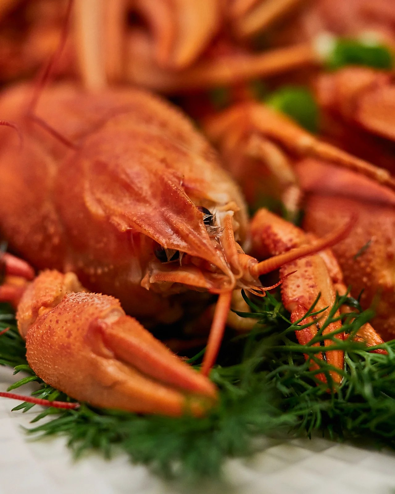 How To Eat Crawfish Delice Recipes
