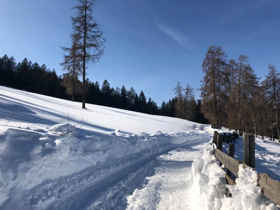 Ski Ing Snow Factor At Xsite Braehead Closes The Democrat